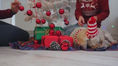 Köpek, tüm Noel ağacının yanında oturan Noel giysileri ile mutlu çift