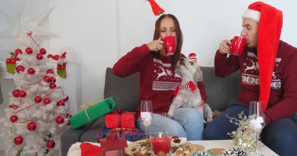 Pareja feliz con perro, todo en ropa de Navidad sentado cerca del árbol de Navidad — Vídeo de stock