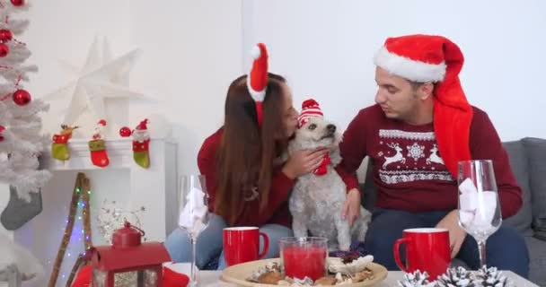 Gelukkige paar met hond, all-in kerst kleding zitten in de buurt van de kerstboom — Stockvideo