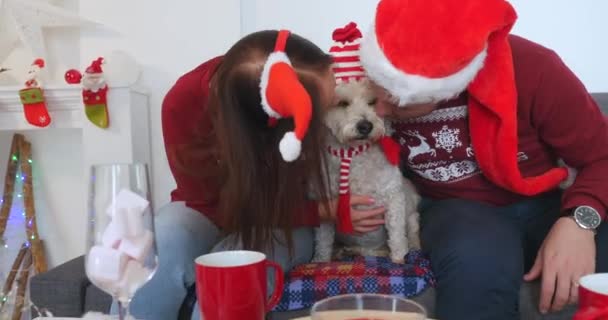 Ευτυχισμένο ζευγάρι με το σκύλο, όλα σε Χριστούγεννα ρούχα κάθεται κοντά στο χριστουγεννιάτικο δέντρο — Αρχείο Βίντεο