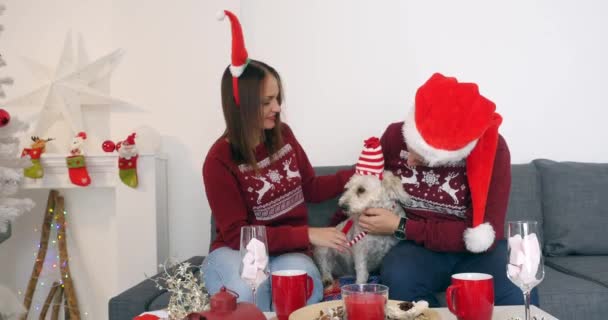 Köpek, tüm Noel ağacı yakınındaki kanepede otururken Noel giysileri ile mutlu çift — Stok video