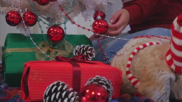 Pareja feliz con perro, todo en ropa de Navidad sentado cerca del árbol de Navidad — Vídeo de stock