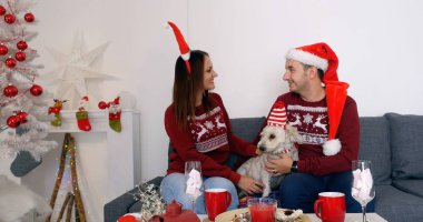 Mutlu Noel ağacı yakınındaki kanepede oturan köpek çiftle