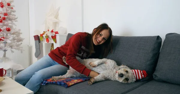 Mulher feliz que coloca com cão bonito no chapéu de Natal — Fotografia de Stock