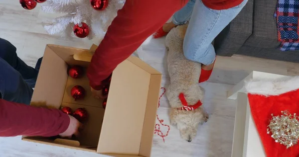 Paar Hände schmücken weißen Christbaum mit roten Kugeln — Stockfoto