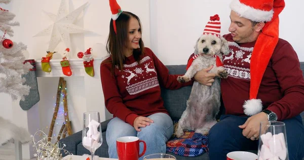 Casal feliz com cão sentado no sofá perto da árvore de Natal — Fotografia de Stock