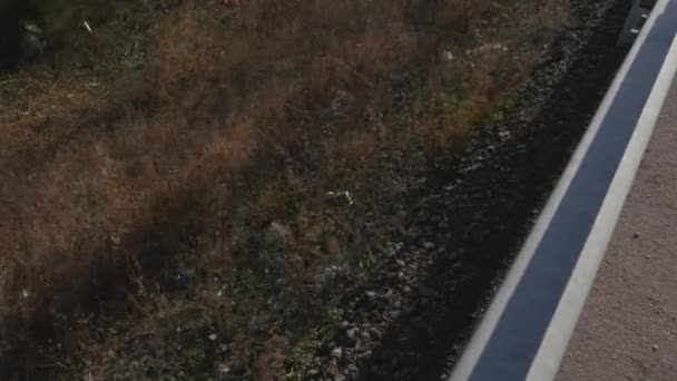 Poubelles près de la route nationale — Video