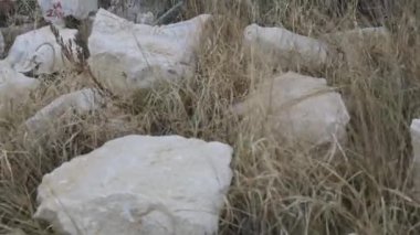 Antik Yunanistan döneme ait mermer friz ayrıntı bölümleri
