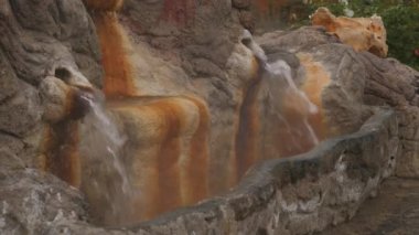 Doğal mineral kaplıca çeşmeden içmek için dışarı akar