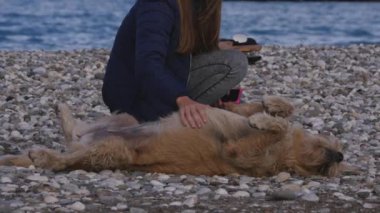 Kadın sevişme oynak evsiz köpek Çakıl Plajı üzerinde döşeme