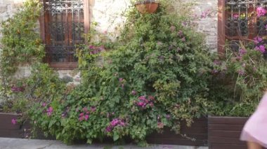 Moda yaşam tarzı tül etekle genç komik kadın portresi