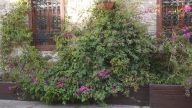 Moda yaşam tarzı tül etekle genç komik kadın portresi