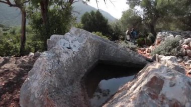 Bir ormanın derinliklerinde ormanda kırık Crypt closeup görünümü