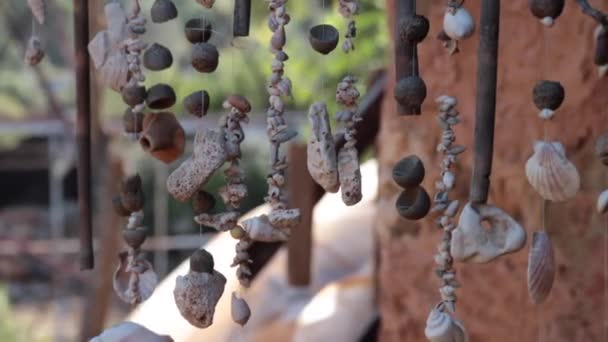 Perles faites à la main à partir de coquillages suspendus à une corde 