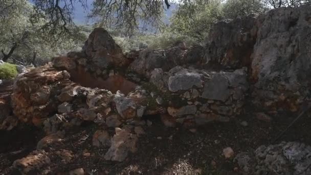 Ruinas del antiguo pozo en el bosque — Vídeo de stock