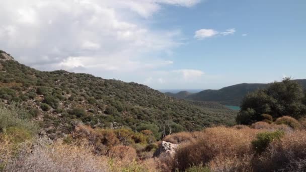 Veduta della foresta di ulivi con nuvole nel cielo sullo sfondo — Video Stock