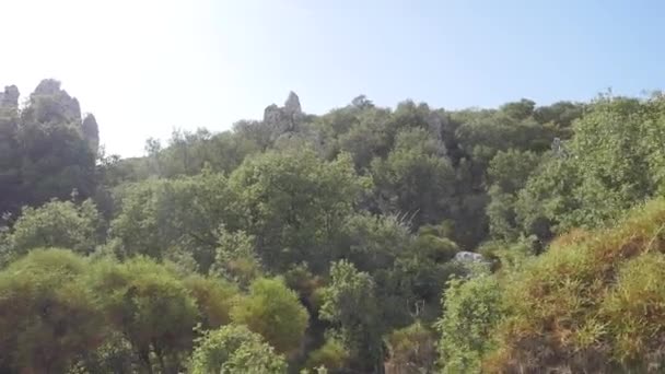 Vista da floresta de oliveira com ruínas do castelo antigo no fundo — Vídeo de Stock