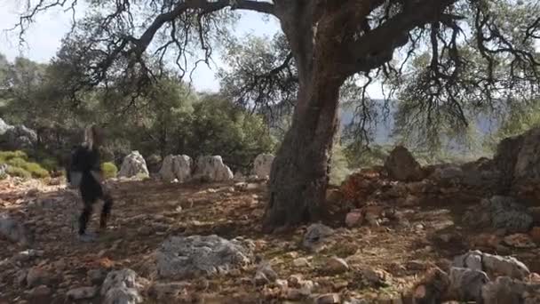 Wanderin mit Rucksack umarmt großen alten Baum im Wald — Stockvideo