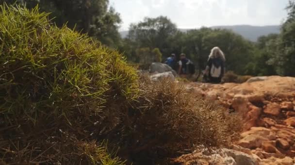 Grupo de excursionistas con mochila en la pasarela — Vídeo de stock