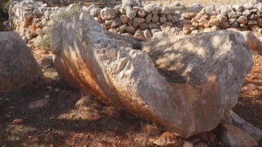 Bir ormanın derinliklerinde ormanda kırık Crypt closeup görünümü