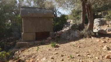 Bir ormanın derinliklerinde ormanda kırık Crypt closeup görünümü