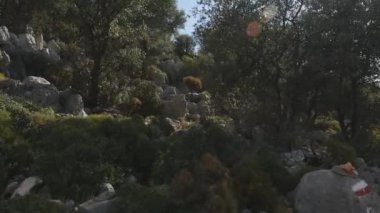 Yol boyunca küçük taşlar ile akan yürüyüş yolu