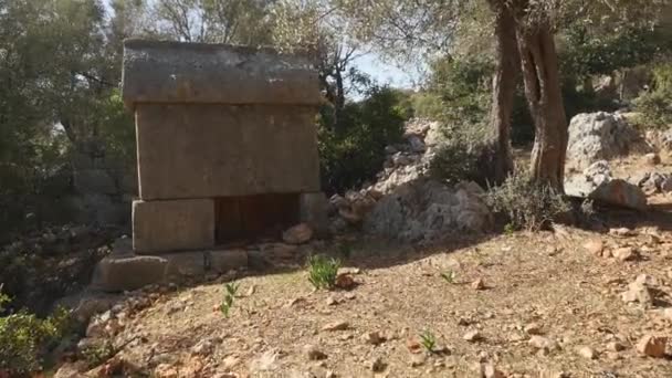 Vista ravvicinata della cripta rotta nella foresta nelle profondità di una foresta — Video Stock