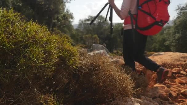 Mujer excursionista con mochila, cámara y trípode en la pasarela — Vídeo de stock