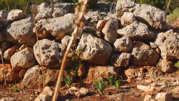 Вид кам'яної кладки стародавнього будинку — стокове відео