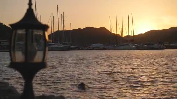 Luxusyachten ruhen bei Sonnenuntergang im Hafen — Stockvideo