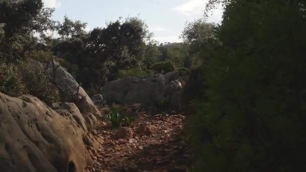 沿着道路走着, 路上散落着小石头 — 图库视频影像