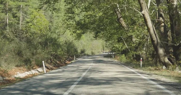 Автомобиль по дороге, покрытой осенним лесом — стоковое фото