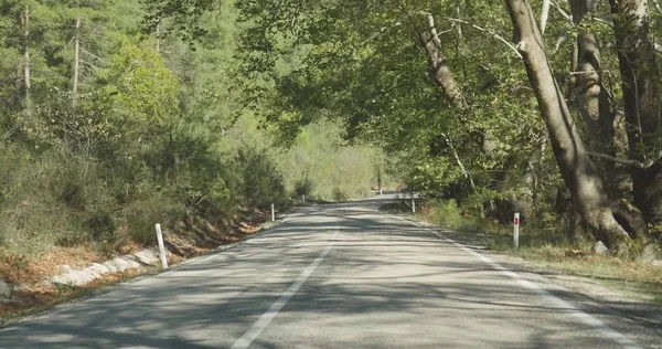 Carro na estrada coberto na floresta de outono — Fotografia de Stock