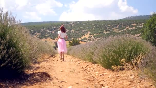 Woman runs in the lavender field — Stok video
