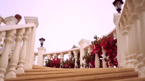 Young woman walking down the stairs — Stock Video