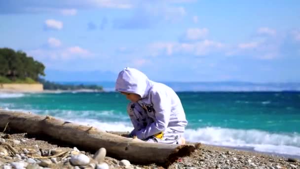Küçük çocuk rüzgarlı güneşli plajda kum ile oynuyor — Stok video