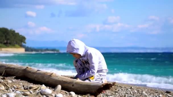 Ragazzino che gioca con la sabbia alla spiaggia soleggiata ventosa — Video Stock