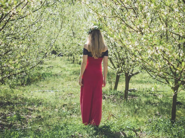 Backview of young beautiful woman in spring blossom trees. — Stock Photo, Image