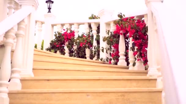 Молодая женщина бежит вниз по лестнице — стоковое видео