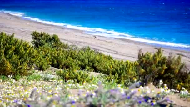 緑の丘からの海の美しい景色 — ストック動画