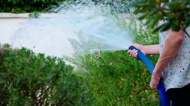 Uomo irrigazione giardino — Video Stock
