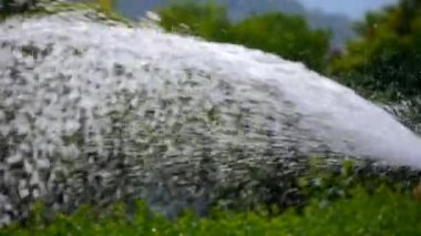 hortum ile sulama bahçesi