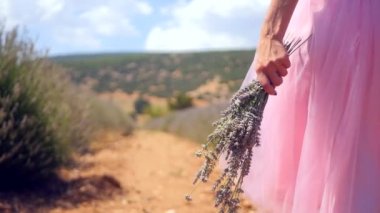 Womans hand holding lavender flowers