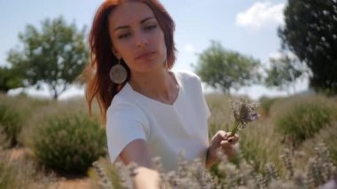 Woman picking lavender flowers