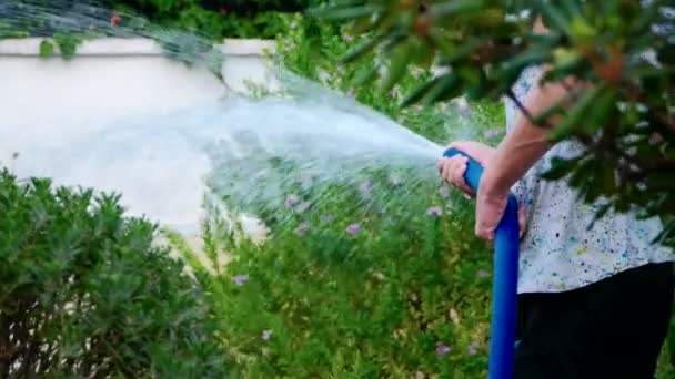 Mann gießt Garten — Stockvideo
