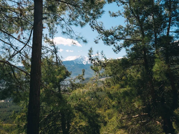 Tahtali mountain in Turkey, Antalya Kemer through pine trees — Stock Photo, Image