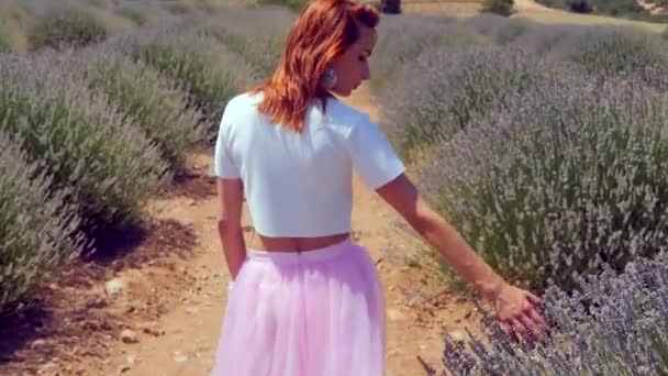 Nuori nainen kävelee laventelipellolla — kuvapankkivideo