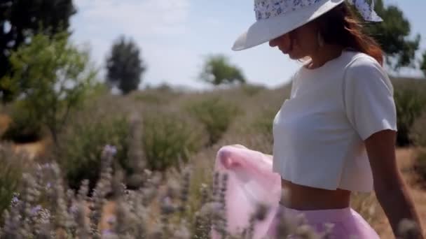Mulher colhendo flores de lavanda — Vídeo de Stock