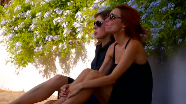 Dua gadis manis tersenyum mengunyah permen karet — Stok Video