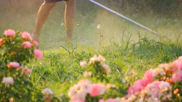 Man som arbetar med bensin Lawn trimmer — Stockvideo